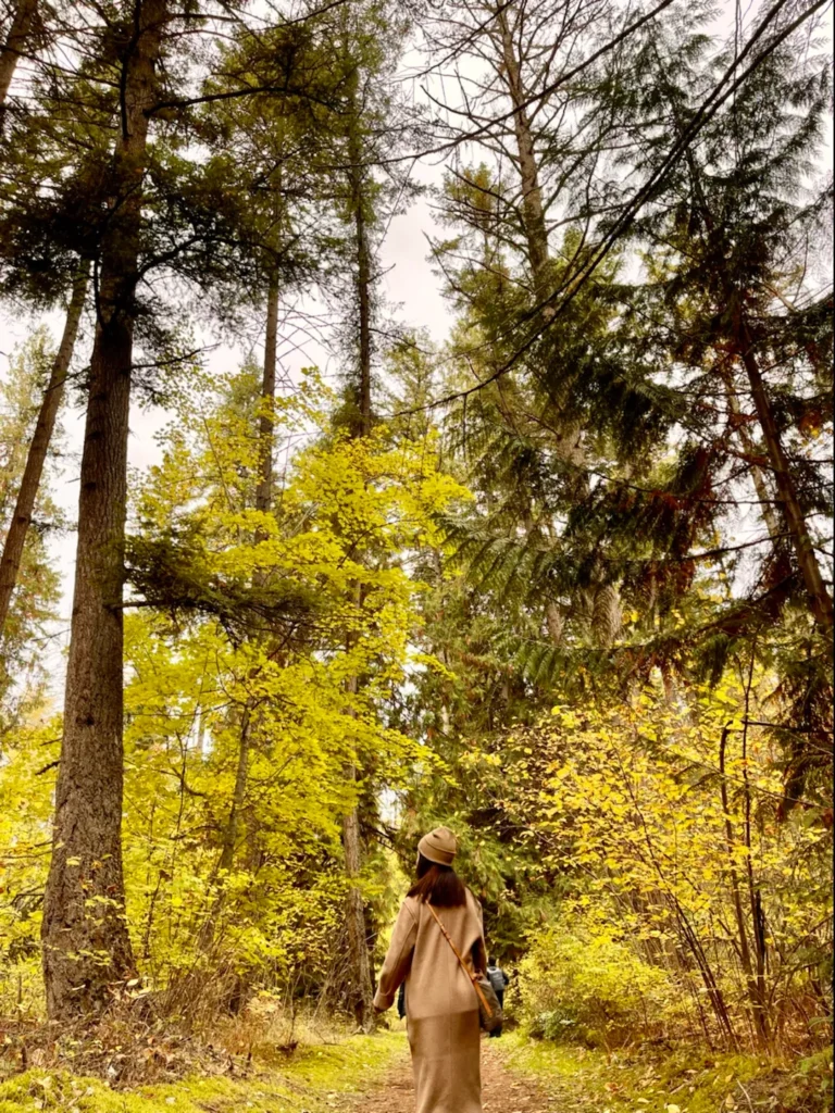 Walking in the forest by the Adams River